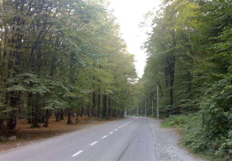 Waldpark Baghu Bandar-e Gaz