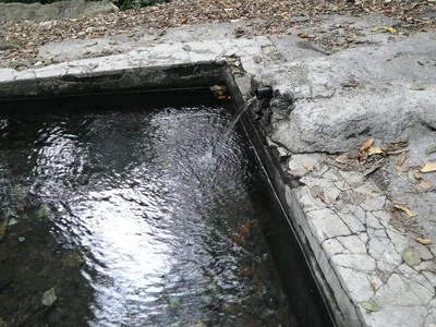 عين غلغلي وطنا بندرغاز