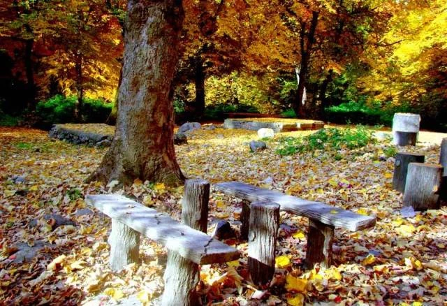 پارک جنگلی آهنگران خان ببین