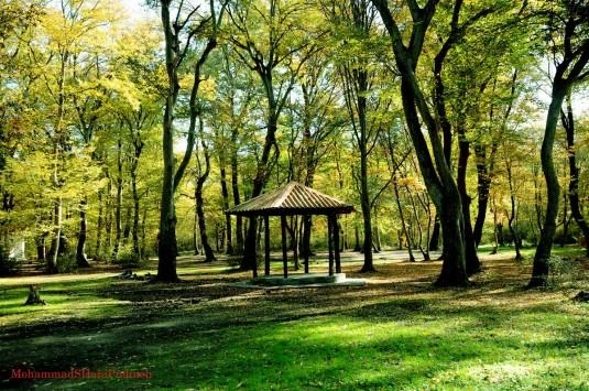 Parque Forestal Deland Ramian