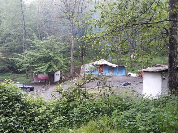 Bosque de Narges Nokandeh Bandar-e-Gaz