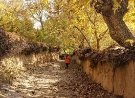 Barrio Ghasr-ol-Dasht de Shiraz