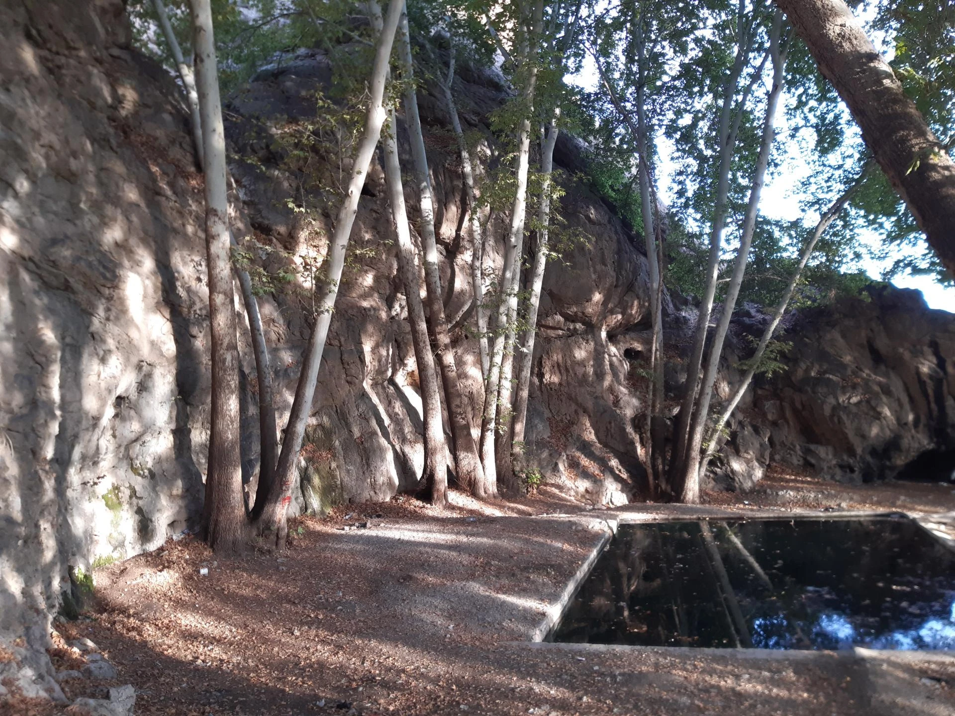 Гранатовая вода из сада Бадре Марвдашт