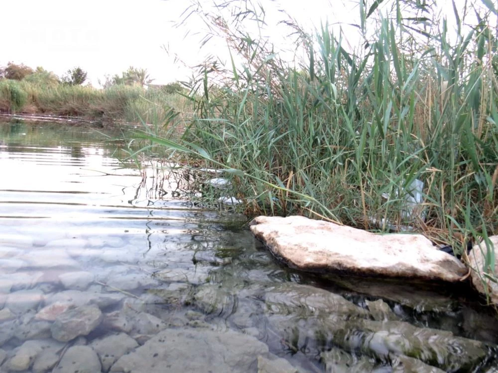 چشمه دادین کازرون