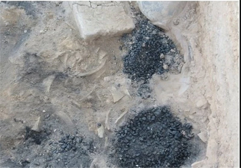 特尔卡莱赛义夫阿巴德卡泽鲁恩