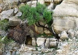 Tang Lay Tarik Estahban