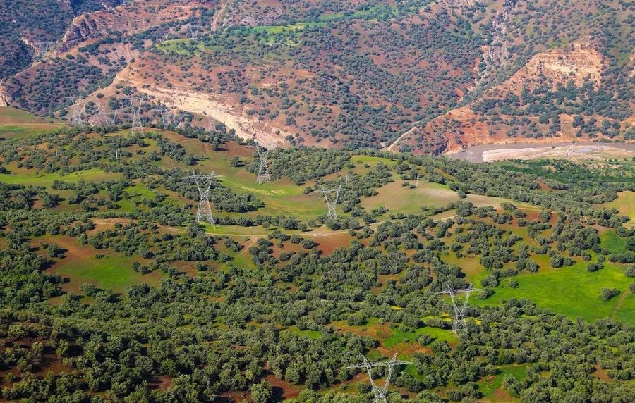 پارک جنگلی بناب ارسنجان