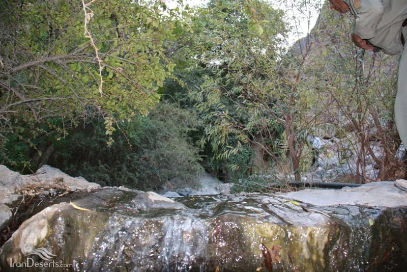 منطقه شکار ممنوع دره باغ بوانات